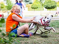 Adoptuj Warszawiaka  Wydarzenie promujące adopcję zwierząt. Organizator: Schronisko dla Bezdomnych Zwierząt "Na Paluchu". 18 sierpnia 2019, Park Raszyński w Raszynie. : park raszyński, adoptuj warszawiaka, na paluchu, schronisko dla zwierząt, centrum warszawy, raszyn